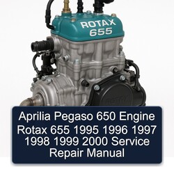 1995-2000 Aprilia Pegaso Models 650 Engine Rotax 655 Service Repair Workshop Manual PDF