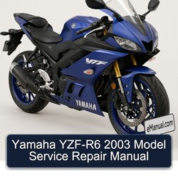 2003 Harley Davidson Model S Yamaha YZF-R6 Service Repair Workshop Manual PDF