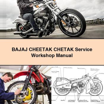 Bajaj Chetak Cheetak Service Repair Workshop Manual PDF