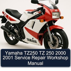 2000-2001 Yamaha TZ Models TZ250 250 Service Repair Workshop Manual PDF