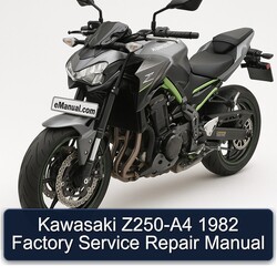1982 Kawasaki Z Series Z250-A4 Service Repair Workshop Manual PDF