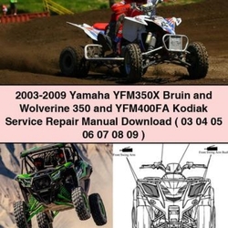 Yamaha Bruin/Wolverine 350 & Kodiak 400 Servicehandbuch (2003-2009)