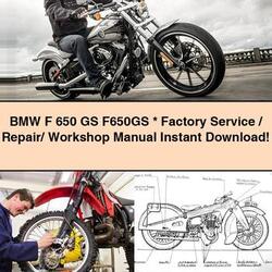BMW F 650 GS F650GS Factory Service/Repair/ Workshop Manual 
