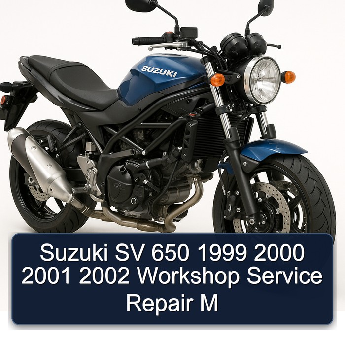1999-2002 Suzuki SV Models 650 M Service Repair Workshop Manual PDF
