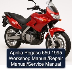 1995 Aprilia Pegaso Models 650 Service Repair Workshop Manual PDF