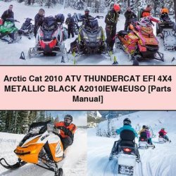 2010 Arctic CAT ATV Thundercat EFI 4x4 Metallic Black A2010iew4euso [parts ] Parts Catalog PDF