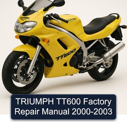 2000-2003 Triumph TT 600 TT600 Service Repair Workshop Manual PDF