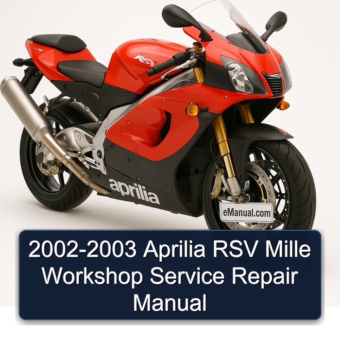 2002-2003 Aprilia RSV Models Mille Service Repair Workshop Manual PDF
