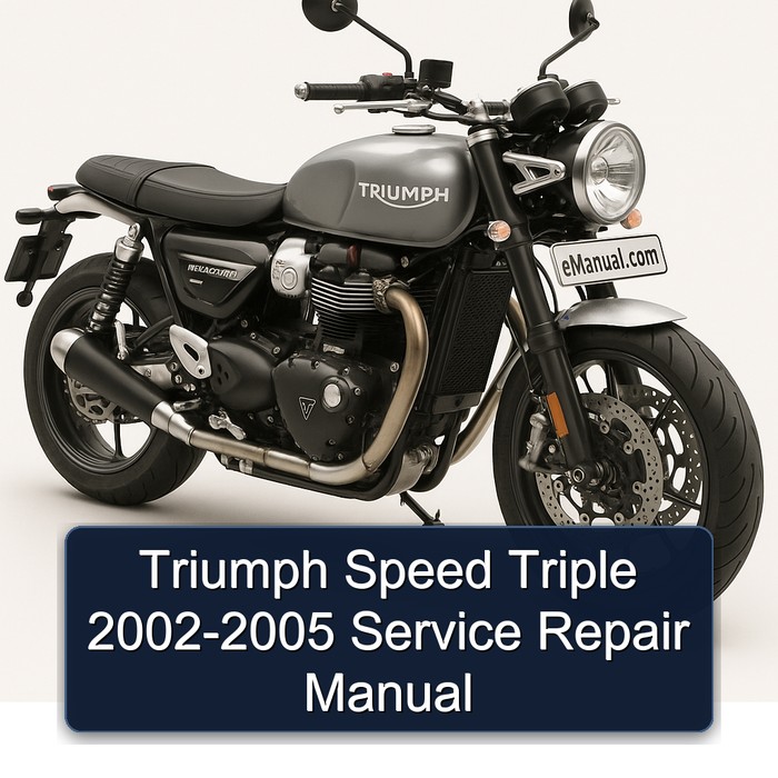 2002-2005 Triumph Speed Triple Service Repair Workshop Manual PDF