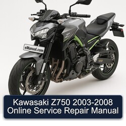 2003-2008 Kawasaki Z Series Z750 - Online Service Repair Workshop Manual PDF