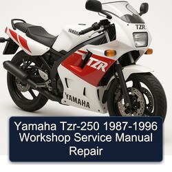 1987-1996 Yamaha TZR Models TZR-250 Service Repair Workshop Manual PDF