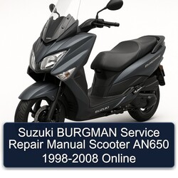 1998-2008 Baotian Suzuki Burgman Scooter AN650 - Online Service Repair Workshop Manual PDF