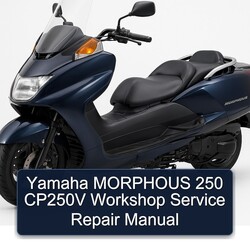 Yamaha Morphous CP250 250 CP250V Service Repair Workshop Manual PDF
