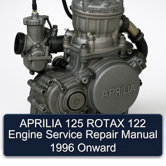 1996 Aprilia 125 Rotax 122 Engine Onward Service Repair Workshop Manual PDF