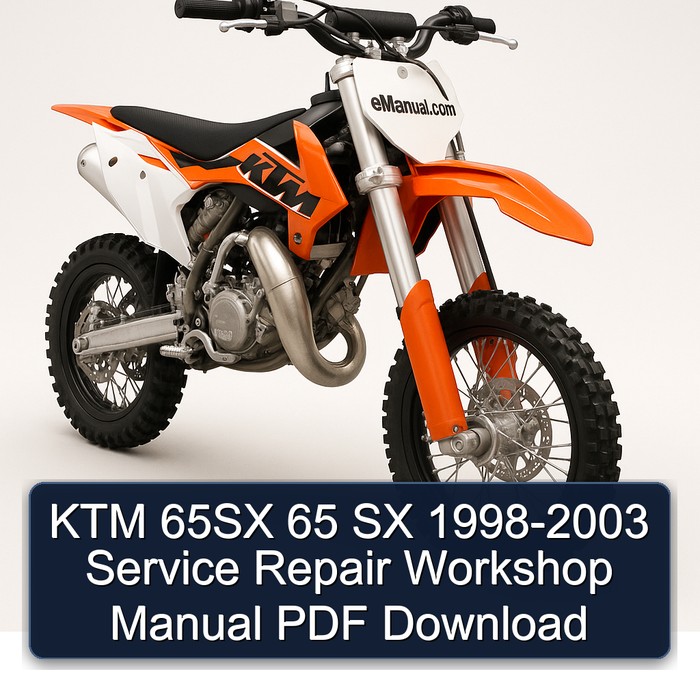 1998-2003 KTM 65 65SX SX Service Repair Workshop Manual PDF