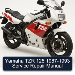 1987-1993 Yamaha TZR Models 125 Service Repair Workshop Manual PDF