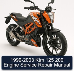 1999-2003 KTM 125 200 Engine Service Repair Workshop Manual PDF