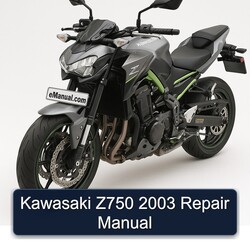 2003 Kawasaki Z Series Z750 Service Repair Workshop Manual PDF