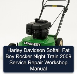 2009 Harley Davidson Softail Fat Boy Rocker Night Train Service Repair Workshop Manual PDF