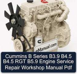 Cummins B Series B3.9 B4.5 RGT B5.9 Engine Service Repair Workshop Manual PDF