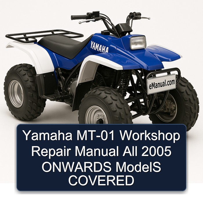 2005 Yamaha MT Series MT-01 All Onwards Models Covered Service Repair Workshop Manual PDF