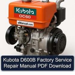 Kubota D600B Service Repair Workshop Manual PDF
