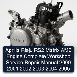 2000-2005 Aprilia RS Models Rieju RS2 Matrix AM6 Engine Service Repair Workshop Manual PDF