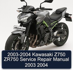 2003-2004 Kawasaki Z Series Z750 ZR750 Service Repair Workshop Manual PDF