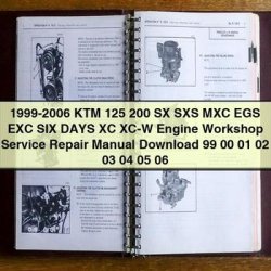 1999-2006 KTM 125 200 SX SXS MXC EGS EXC SIX Days XC XC-W Engine 99 00 01 02 03 04 05 06 Service Repair Workshop Manual PDF