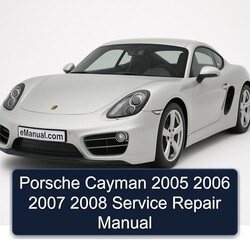 2005-2008 Porsche Cayman Service Repair Workshop Manual PDF
