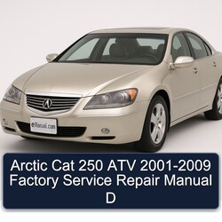 2001-2009 Arctic CAT 250 ATV - D Service Repair Workshop Manual PDF