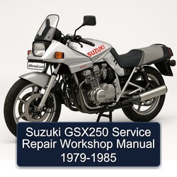 1979-1985 Suzuki GSX Series GSX250 Service Repair Workshop Manual PDF