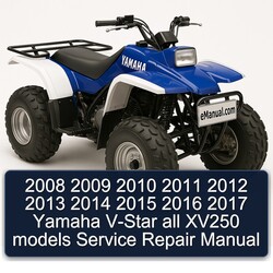 2010-2017 Yamaha V Series V-STAR All XV250 Models Service Repair Workshop Manual PDF
