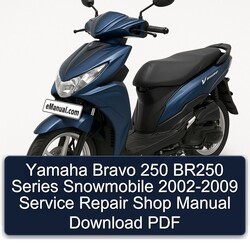 2002-2009 Yamaha Bravo 250 BR250 Series Snowmobile - Shop Service Repair Workshop Manual PDF