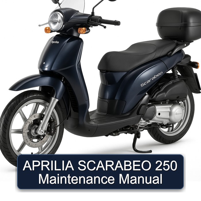 Aprilia Scarabeo 250 Maintenance Service Repair Workshop Manual PDF