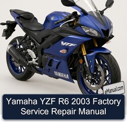 2003 Yamaha YZF Models R6 Service Repair Workshop Manual PDF