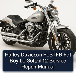 Harley Davidson Softail Flstfb Fat Boy Lo 12 Service Repair Workshop Manual PDF