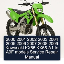 2002-2009 Kawasaki KX Series KX65 KX65-A1 A9F Models Service Repair Workshop Manual PDF