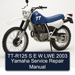 TT-R125 S E W LWE 2003 Yamaha Manual de servicio y reparación 