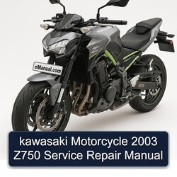 2003 Kawasaki Motorcycle Z750 Service Repair Workshop Manual PDF