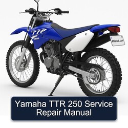 Yamaha TTR 250 Manual de servicio y reparación 