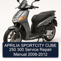 2008-2012 Aprilia Sportcity Cube 250 300 Service Repair Workshop Manual PDF