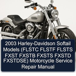 2003 Harley Davidson Softail Harley-davidson Models (flstc Flstf Flsts Fxst Fxstb Fxsts Fxstd Fxstdse) Motorcycle Service Repair Workshop Manual PDF