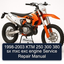 1998-2003 KTM 250 300 380 Sx Mxc Exc Engine Service Repair Workshop Manual PDF