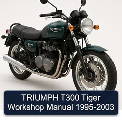 1995-2003 Triumph Tiger Models T300 Service Repair Workshop Manual PDF