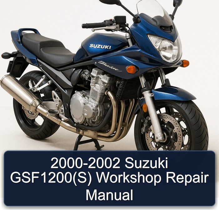 2000-2002 Suzuki GSF Bandit Series Gsf1200(s) Service Repair Workshop Manual PDF