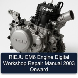 2003 Rieju AM6 EM6 Engine Digital Onward Service Repair Workshop Manual PDF