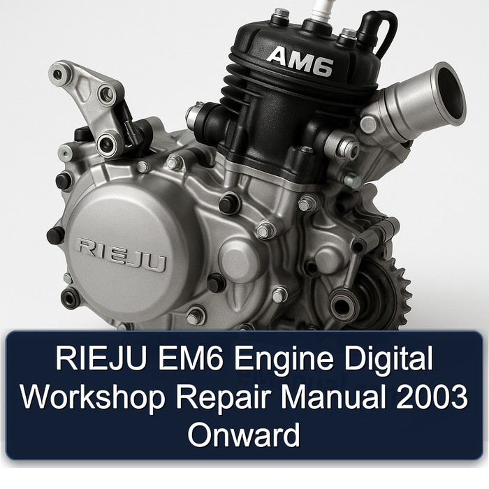 2003 Rieju AM6 EM6 Engine Digital Onward Service Repair Workshop Manual PDF