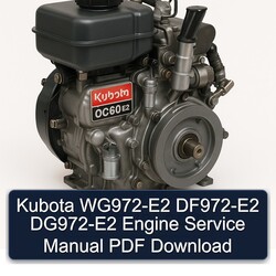 Kubota WG972-E2 DF972-E2 DG972-E2 Engine Service Repair Workshop Manual PDF