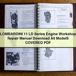 Lombardini LD Series 11 Engine All Models Covered Service Repair Workshop Manual PDF